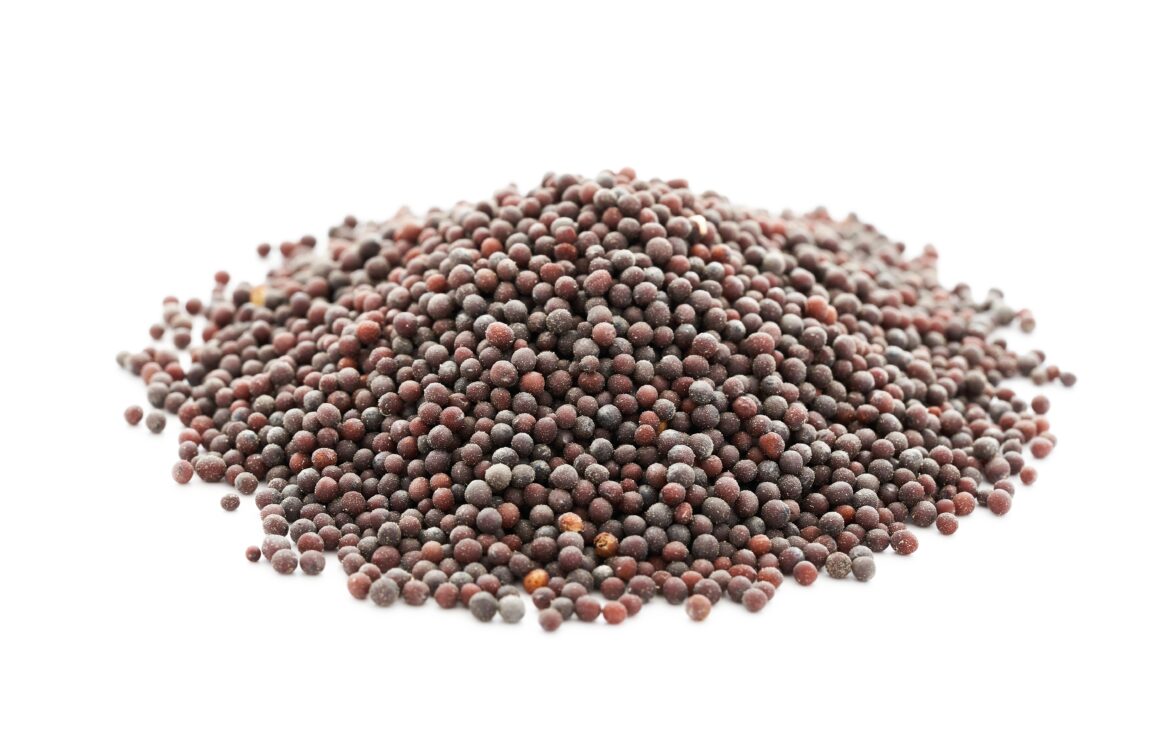 Black mustard seeds
